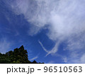 10月の青空と雲と木 96510563