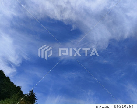 10月の青空と雲と木 10月の青空と雲と木 96510564