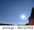 11月の青空と雲と木と太陽の光 96510569