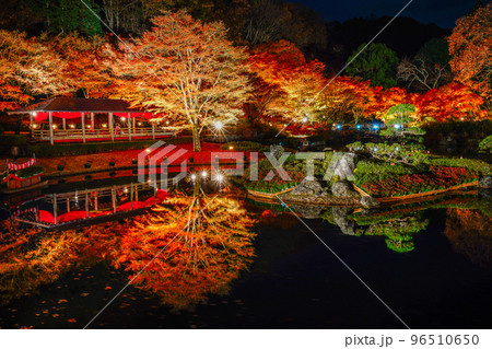 日本　庭園　紅葉　秋 96510650