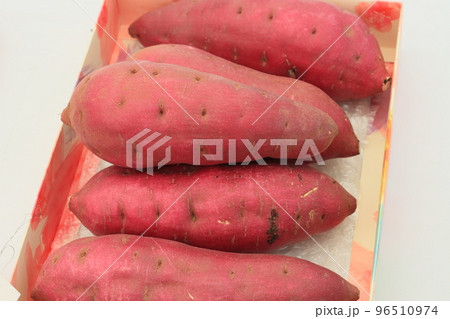 さつまいも さつまいも 96510974