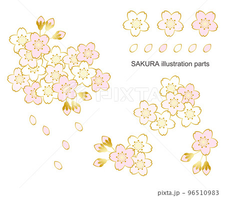 桜のイラスト素材セット ベクター 春 白バック 96510983