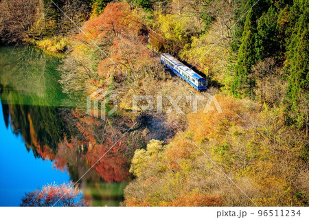 晩秋の午後に只見線を走る列車「お座トロ展望列車」(福島県三島町、11月中旬) 96511234