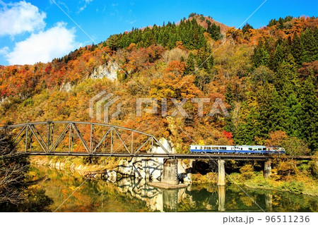 只見線 秋の第四只見川橋梁を渡る臨時列車「お座トロ展望列車」(福島県金山町、11月) 只見線 秋の第四只見川橋梁を渡る臨時列車「お座トロ展望列車」(福島県金山町、11月) 96511236