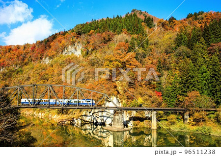 只見線　秋の第四只見川橋梁を渡る臨時列車「お座トロ展望列車」(福島県金山町、11月) 96511238
