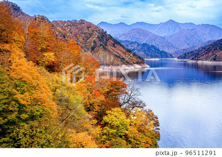 紅葉が美しい朝の田子倉湖(福島県只見町、11月) 96511291