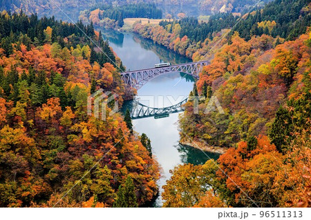 只見線　秋の第一只見川橋梁を渡る1両編成の列車「キハ110系」(福島県三島町、11月) 96511313