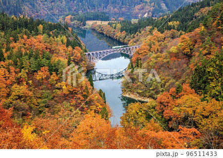只見線 紅葉が美しい朝の第一只見川橋梁を渡る列車(福島県三島町、11月) 只見線 紅葉が美しい朝の第一只見川橋梁を渡る列車(福島県三島町、11月) 96511433