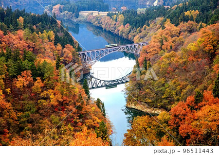 只見線 秋の第一只見川橋梁を渡る列車「キハ110系」(福島県三島町、11月) 只見線 秋の第一只見川橋梁を渡る列車「キハ110系」(福島県三島町、11月) 96511443