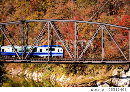 只見線　秋の第四只見川橋梁を渡る臨時列車「お座トロ展望列車」(福島県金山町、11月) 96511461