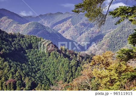 高尾山　高尾山薬王院　表参道（登山道一号路）　ケーブルカー高尾山駅付近の紅葉風景 96511915