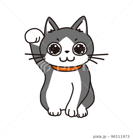 招き猫のポーズをするキラキラした瞳のハチワレ猫 招き猫のポーズをするキラキラした瞳のハチワレ猫 96511973