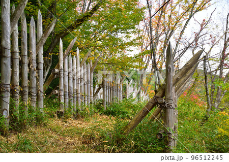 馬防柵 関ケ原古戦場 馬防柵 関ケ原古戦場 96512245