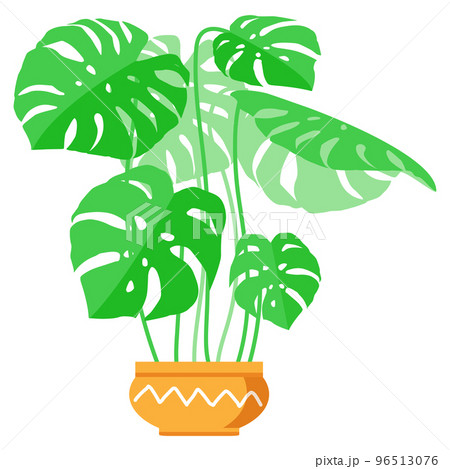 Potted plants collection. Houseplants. Hand drawn vector illustration. Set of vector house indoor plant isolated on white. 96513076