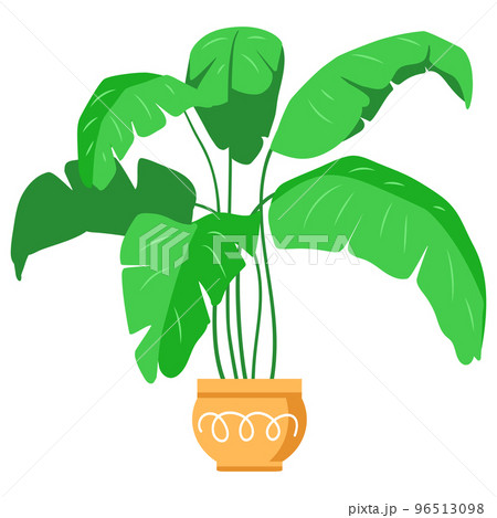Potted plants collection. Houseplants. Hand drawn vector illustration. Set of vector house indoor plant isolated on white. 96513098