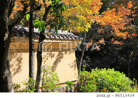 東渕江庭園(ひがしふちえていえん) 足立区大谷田 東渕江庭園(ひがしふちえていえん) 足立区大谷田 96513434