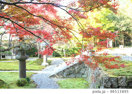 勝林院の紅葉 96513895