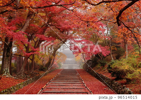 京都 毘沙門堂の紅葉 京都 毘沙門堂の紅葉 96514015