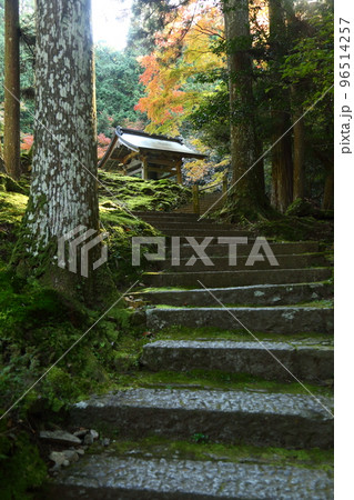 来迎院の紅葉 96514257