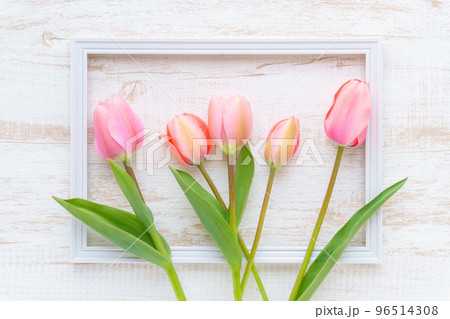白い木目にピンクのチューリップの背景 白い木目にピンクのチューリップの背景 96514308