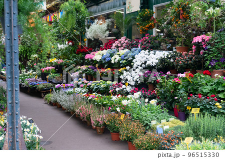 Paris flower market Paris flower market 96515330