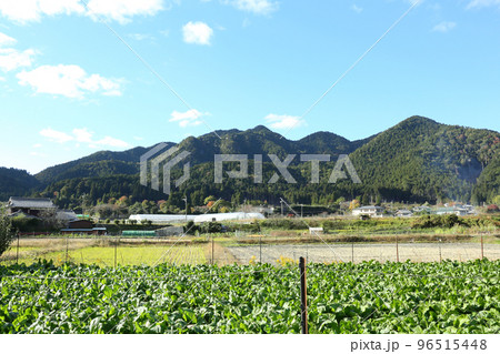 金毘羅山と翡翠山 金毘羅山と翡翠山 96515448