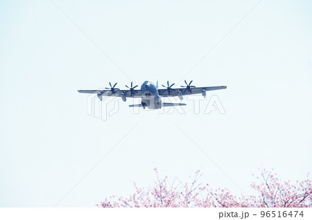 青空と桜の中を飛行する輸送機 青空と桜の中を飛行する輸送機 96516474