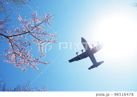 青空と桜の中を飛行する輸送機 青空と桜の中を飛行する輸送機 96516478