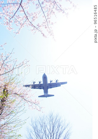青空と桜の中を飛行する輸送機 青空と桜の中を飛行する輸送機 96516485