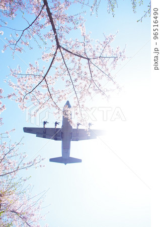 青空と桜の中を飛行する輸送機 青空と桜の中を飛行する輸送機 96516490