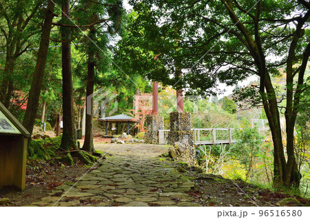 京都府福知山市大江町の新童子橋への山道 96516580