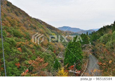 京都府福知山市大江町の新童子橋からの景色 96516584