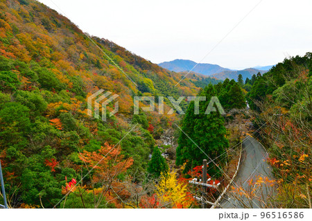京都府福知山市大江町の新童子橋からの景色 京都府福知山市大江町の新童子橋からの景色 96516586