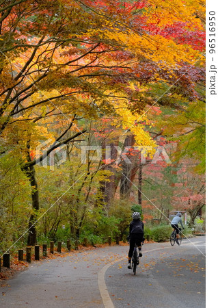 再度山神戸 再度山神戸 96516950