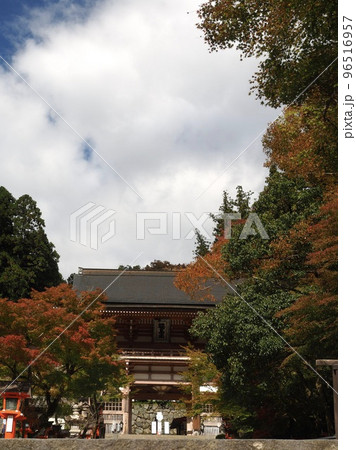 京都 鞍馬寺 仁王門 京都 鞍馬寺 仁王門 96516957