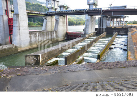 新潟県阿賀野川、阿賀野川頭首工付近の風景 96517093
