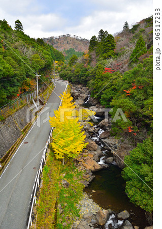 京都府福知山市大江町の新童子橋からの風景 京都府福知山市大江町の新童子橋からの風景 96517233