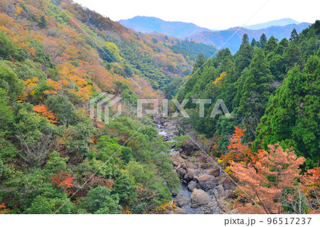京都府福知山市大江町の新童子橋からの風景 96517237