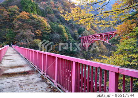 (富山県)　紅葉の黒部渓谷　朝の山彦橋と新山彦橋 96517544