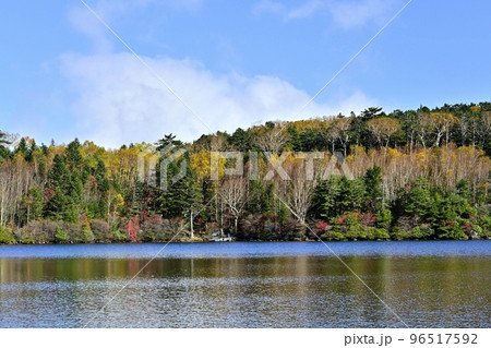 白駒の池に倒影する紅葉した湖畔の森 96517592