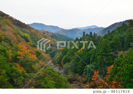 京都府福知山市大江町の新童子橋からの風景 96517819