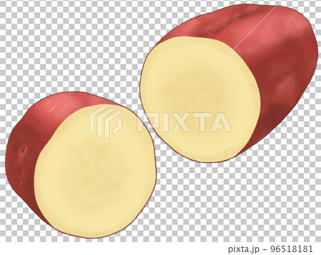 サツマイモの断面のリアルなテイストの綺麗な手描きイラスト 96518181