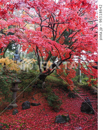 京都　栄摂院の紅葉 96518642