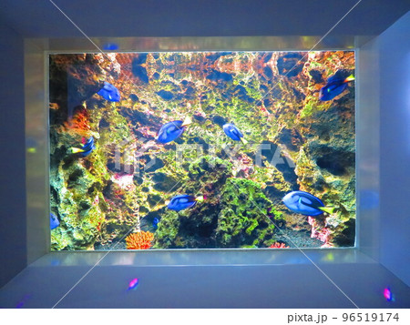 魚 in atoa 96519174