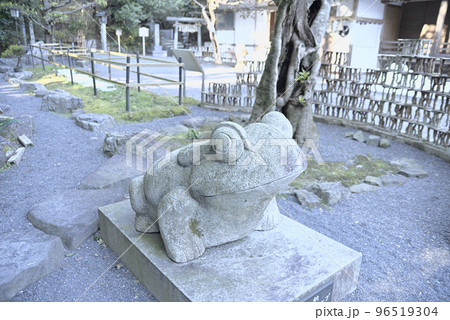 椿神大社に初詣 椿神大社に初詣 96519304