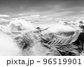 Christmas landscape with falling snow. Black and white. High contrast. 96519901