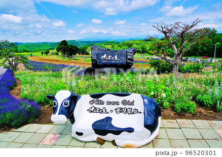 せるぶの丘 (北海道美瑛町) せるぶの丘 (北海道美瑛町) 96520301