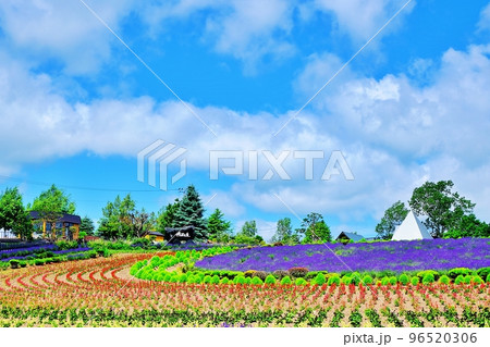 せるぶの丘 (北海道美瑛町) せるぶの丘 (北海道美瑛町) 96520306