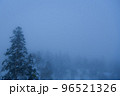 雪原のクリスマスツリー 96521326