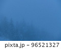 霧の樹木たち 96521327